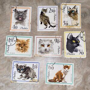 Vintage Polish (Polska) Collector Cat Stamps